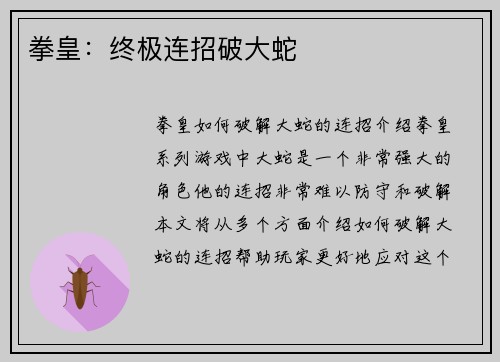 拳皇：终极连招破大蛇