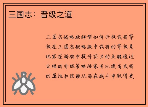 三国志：晋级之道